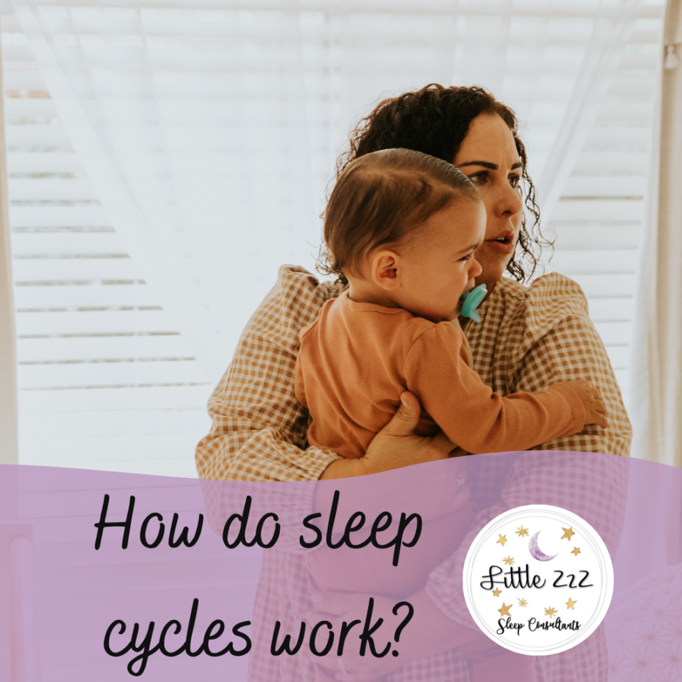 how-do-sleep-cycles-work-little-zzz-sleep-consultant